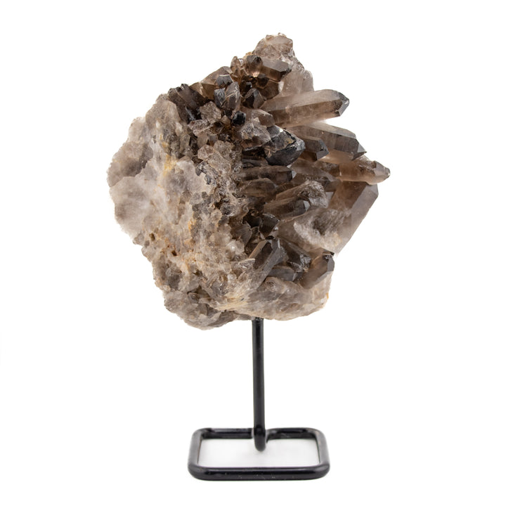 Rare Collector’s Smoky Quartz Cluster on Stand – 9" Statement Crystal for Energy Clearing & Grounding (2.46 kg)
