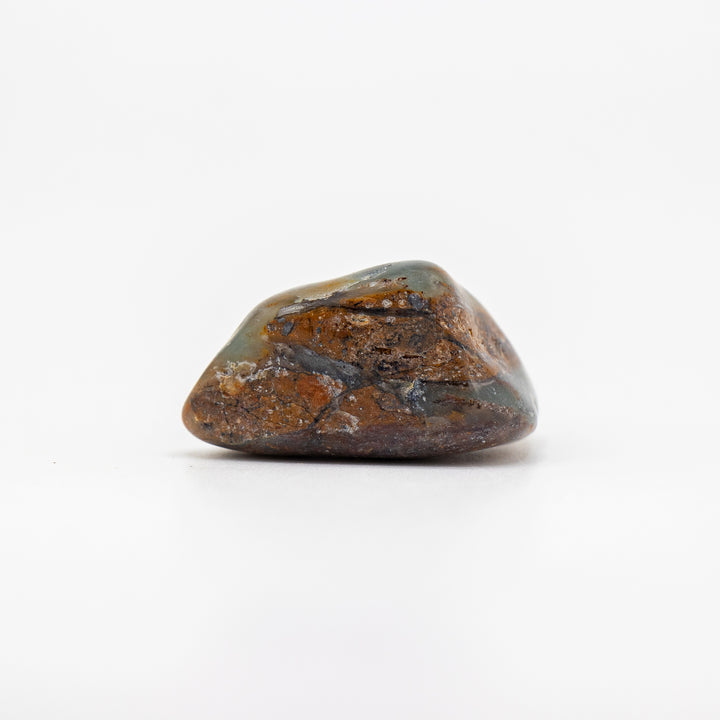 Dendritic Agate Tumbled Stone – 2–3 cm, Extra Quality