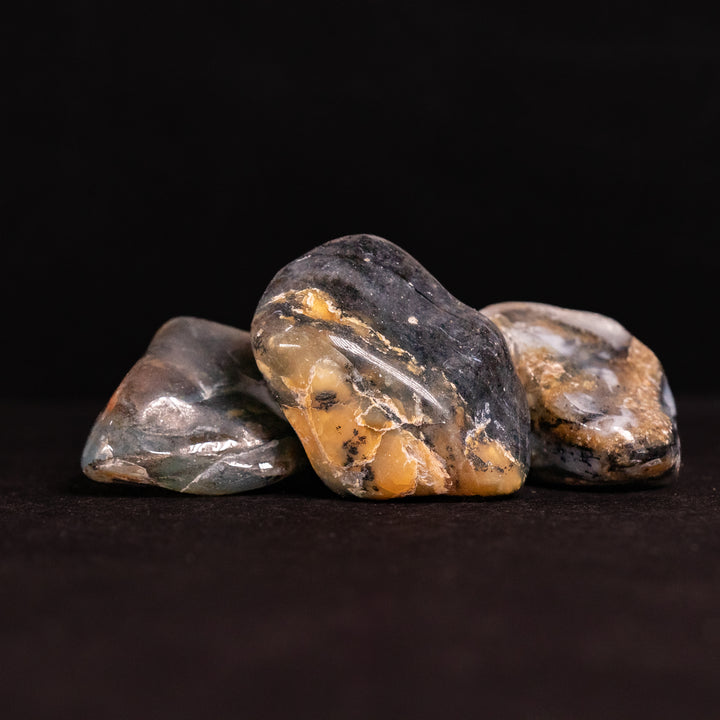 Dendritic Agate Tumbled Stone – 2–3 cm, Extra Quality