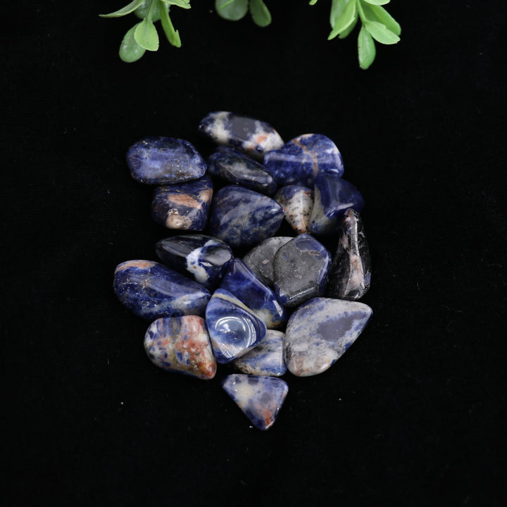 Natural Sodalite Tumbled Stone - Genuine Polished Crystal for Calm and Clarity