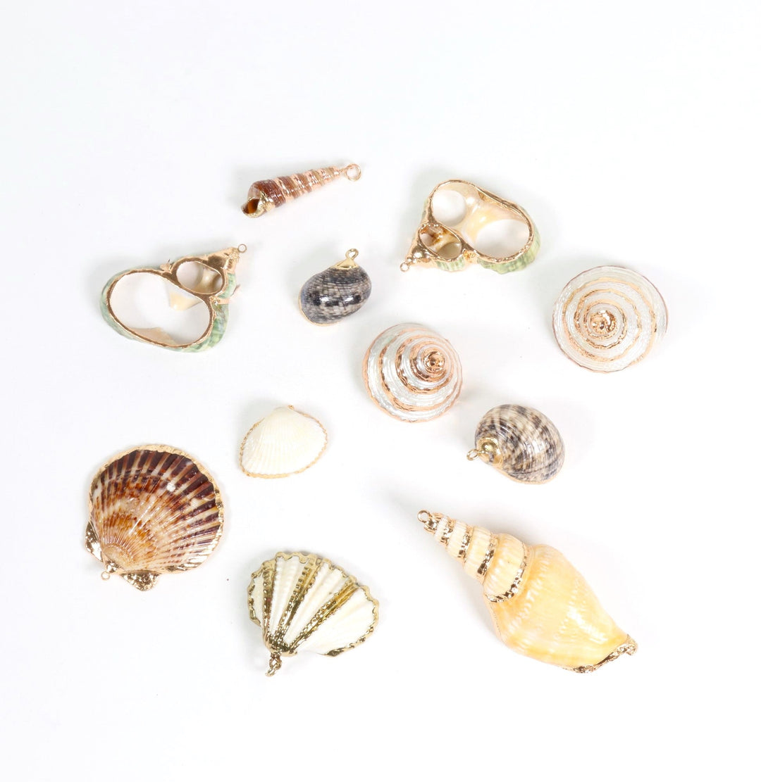 Nature-Inspired Elegance Sea Shell Shaped Pendant – Embrace Serenity