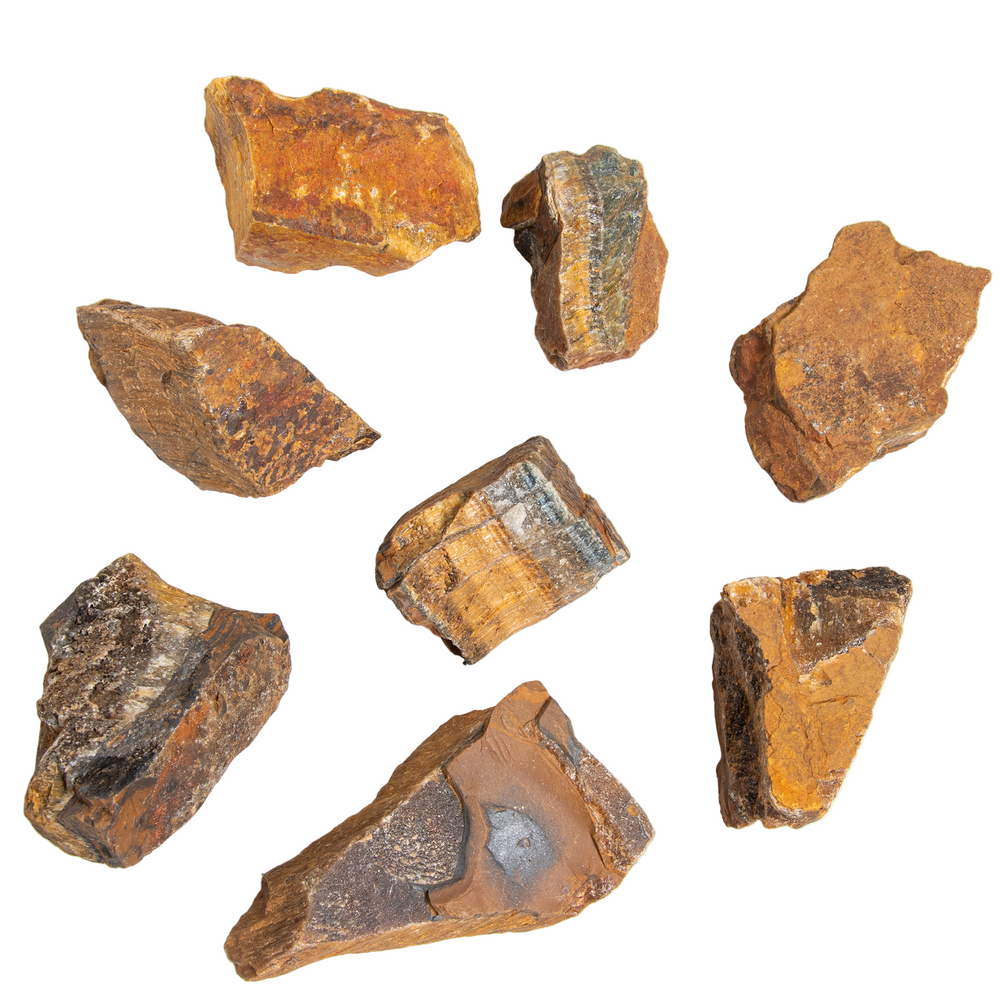 Natural mineral specimens of several raw Tiger's Eye and Hawk's Eye rough stones on a white background displaying characteristic golden-brown chatoyancy, prominent blue-grey banding, and diverse unpolished textures