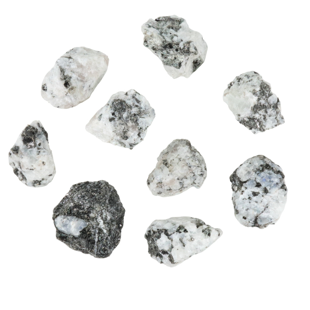 Nine raw mineral stones featuring a speckled black and white matrix with milky translucent areas and subtle iridescent blue flashes