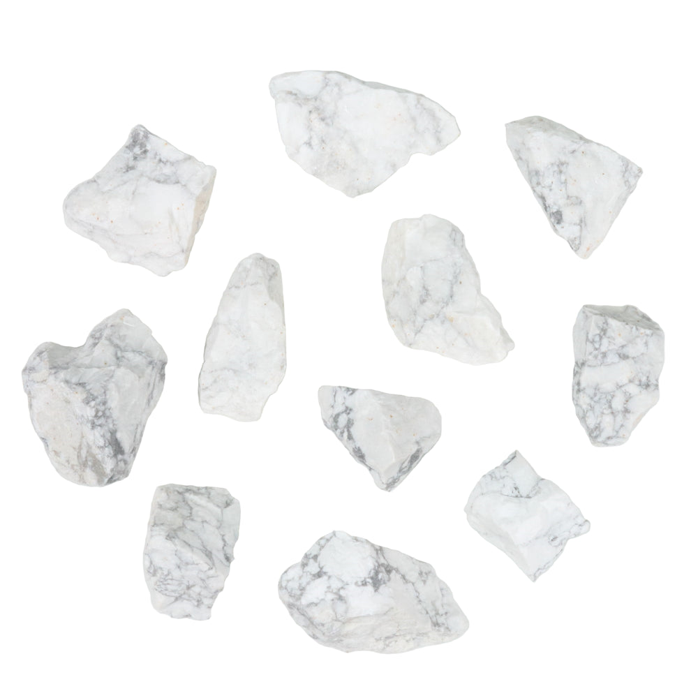 Eleven rough white mineral stones with distinct gray veining in varied irregular shapes scattered across a clean white background