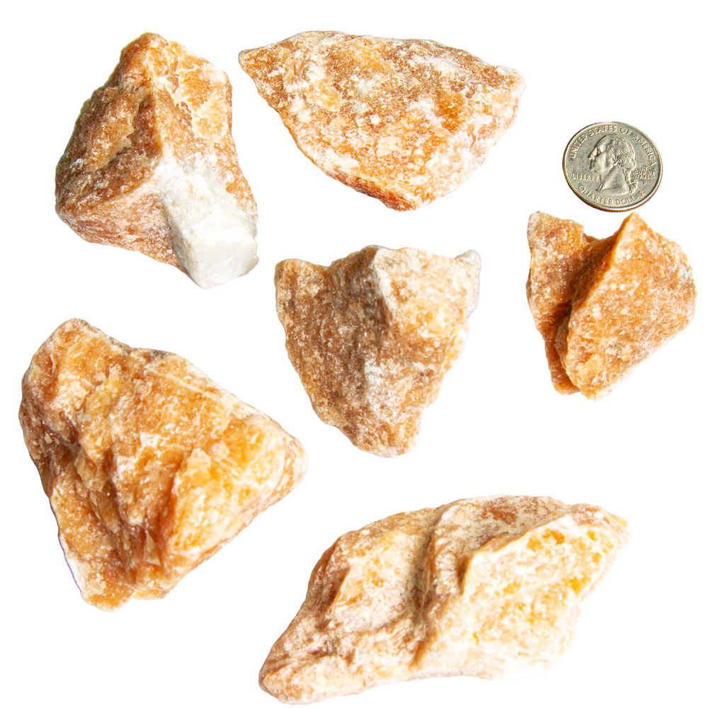 Six rough orange calcite mineral specimens, varying in size and displaying vibrant peachy-orange and white crystalline textures, with a US quarter placed for scale on a clean white background