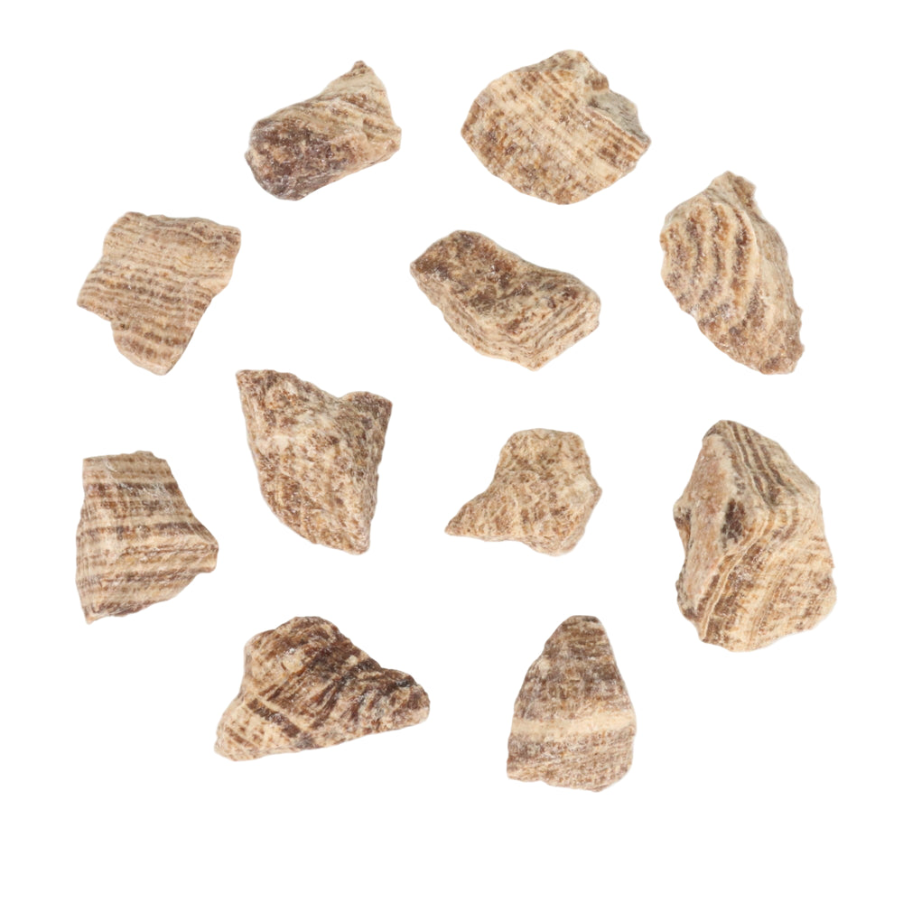 Ten irregularly shaped chunks of brown and beige mineral or rock displaying distinct horizontal striations and a rough textured surface scattered on a white background